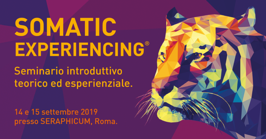 Somatic Experincing Somatic Experincing