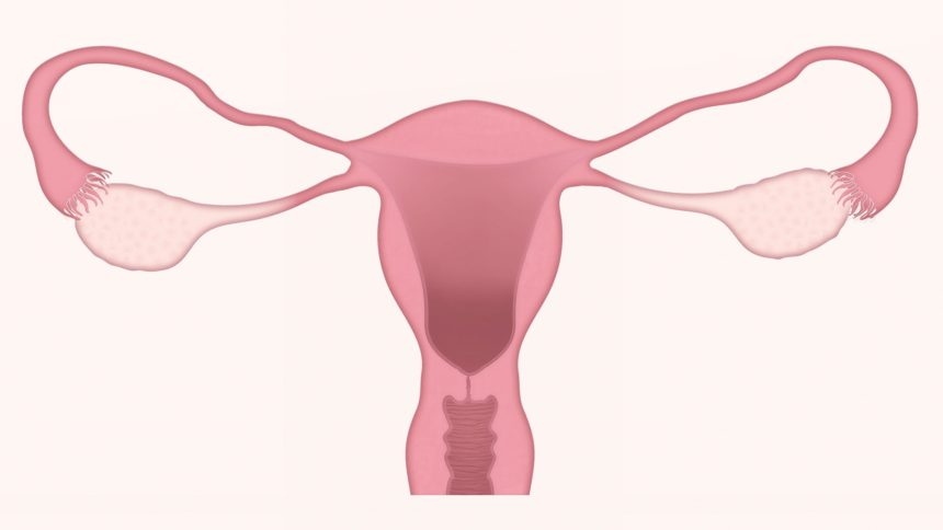 Il Vaginismo Il Vaginismo